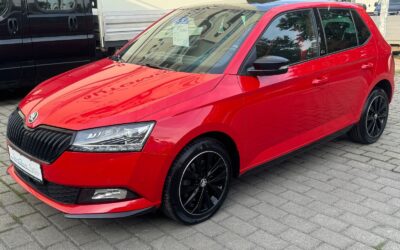 Skoda Fabia 1.0l TSI 81kW "MONTE CARLO"Kamera/Pano/LED